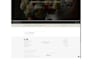 do a professional wordpress website for your business